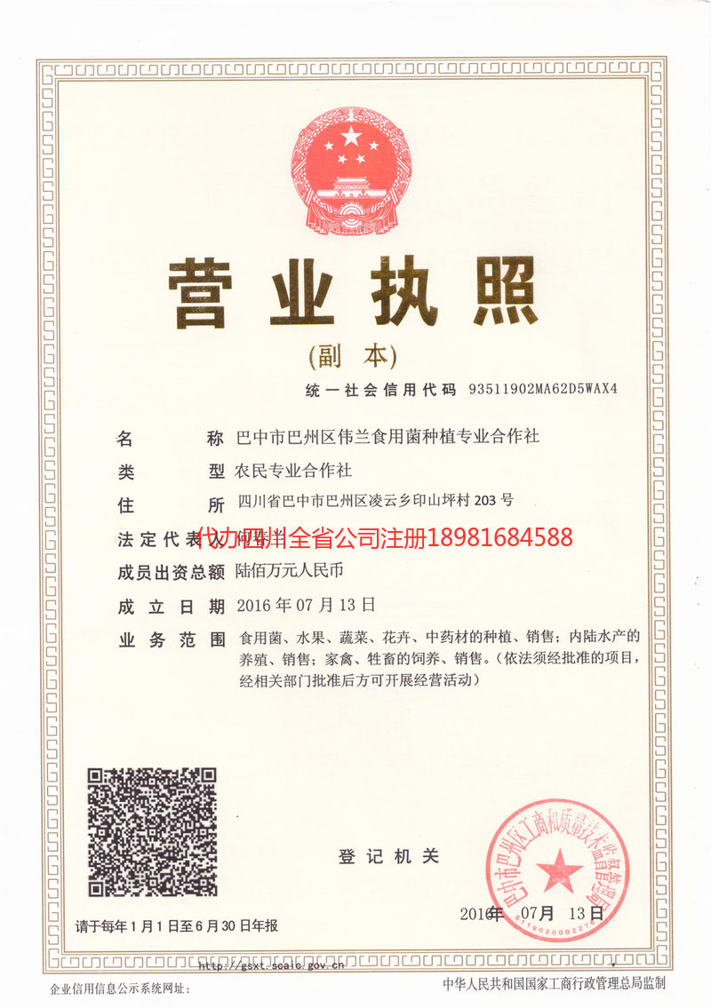 益阳益阳伟兰食用菌种植专业合作社